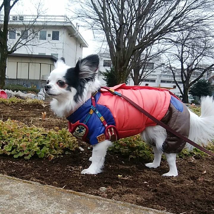 8bb3f9e6 b975 4db1 8bbe 8d1c02dd02c2