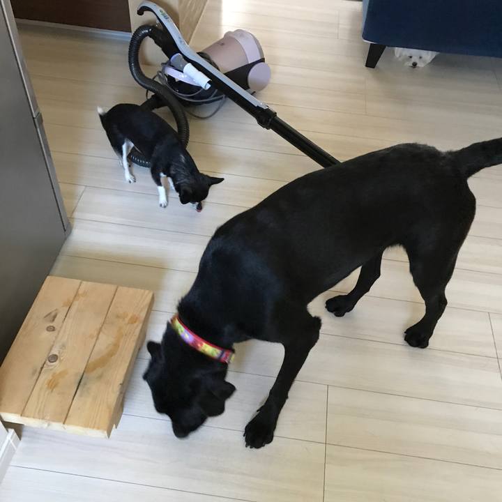 8bb4852b 809a 4fa3 81f3 03cb433e1a27