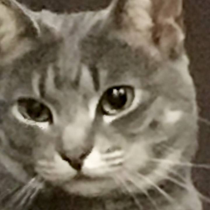 8bb48ea1 0e4b 469e 828d a4edfb61700c