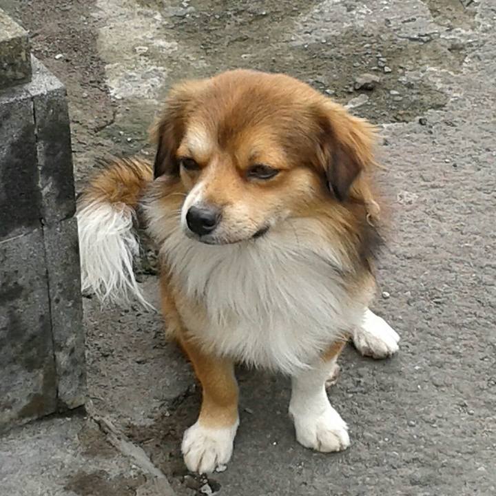 8bb4992f 7764 435a 8d21 2bec5c918ed3