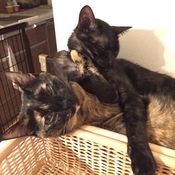 8bb49e86 2388 4831 ad69 dfc17bb16aca