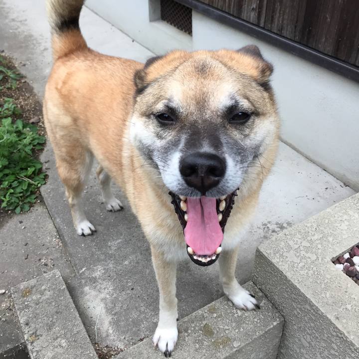 8bb5746b 7cbd 4355 8cc3 a507a6790516