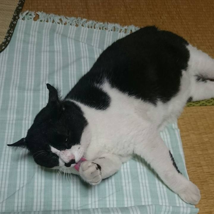 8bb59e7b 2b9a 4eac bcff a6af377c27b2