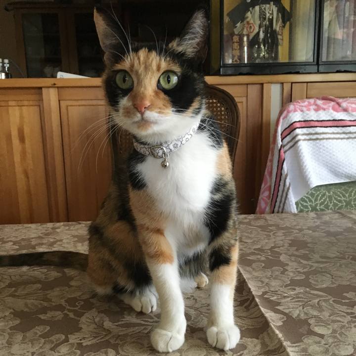 8bb63135 8cf4 4002 8afc d878cc2d11e7