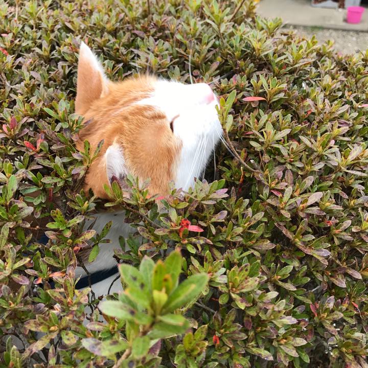 8bb67f83 7c52 403b 84ea 6b1ba468bdb2