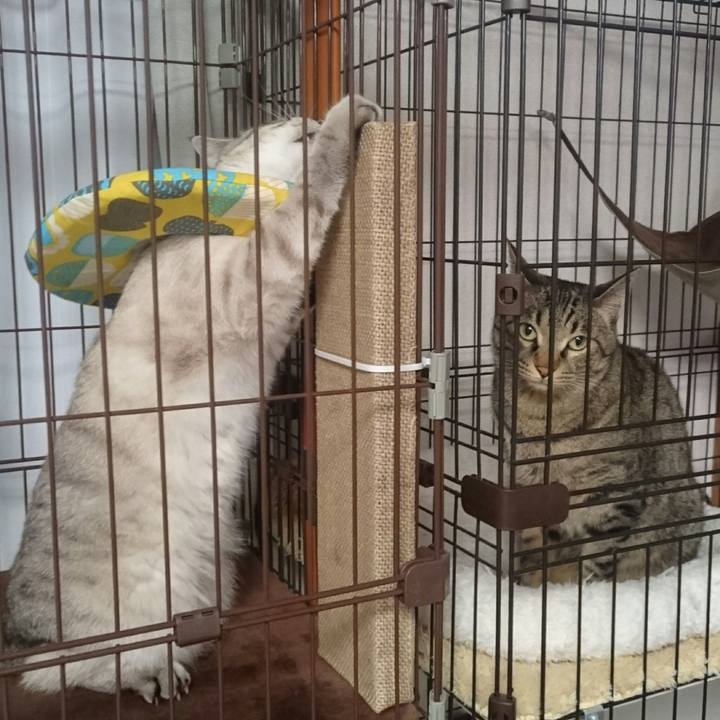 8bb6f9c6 671b 408d 8574 b5264fb683ac