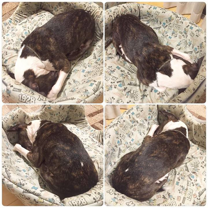 8bb7edfd efaf 415b 8496 d0fe4105aeb4