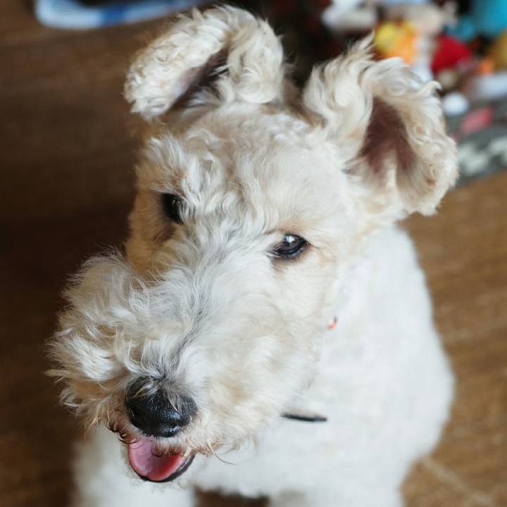 8bb7eeab 381d 4739 abd4 40c6a9d3e89e