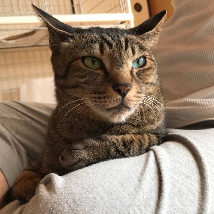 8bb880f2 aefc 4a59 9aac 438f9ad74ea5