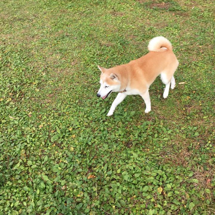 8bb8f6a8 a5e7 40a0 8da0 3ef851cbdb97