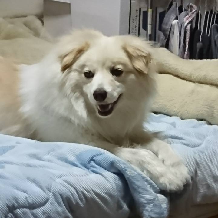 8bb8f73b bdc5 43f7 a970 baa306562446