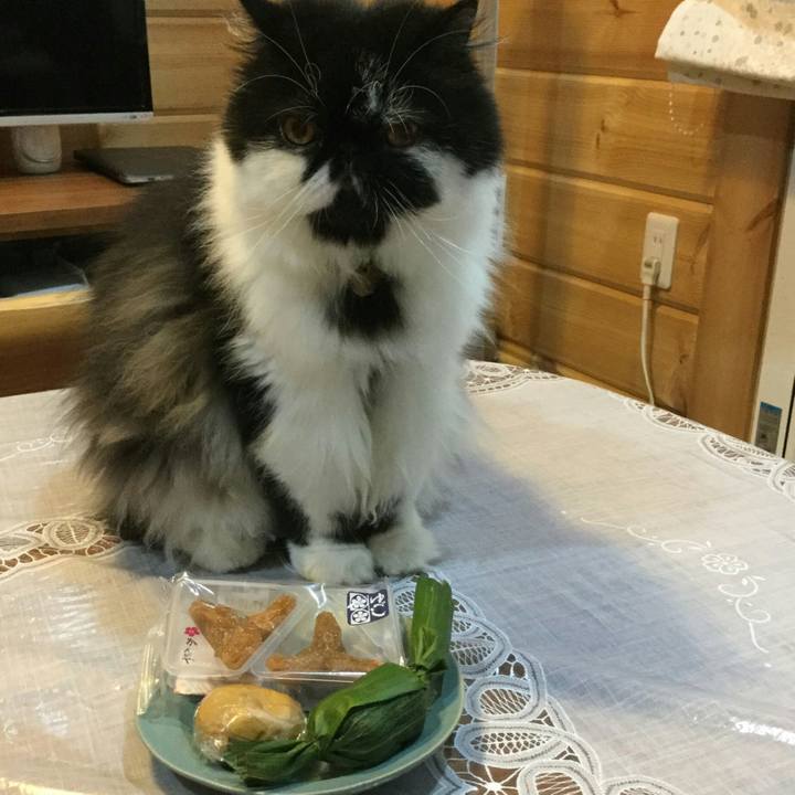 8bb90a15 8831 4df1 960f 6577a66d09e5