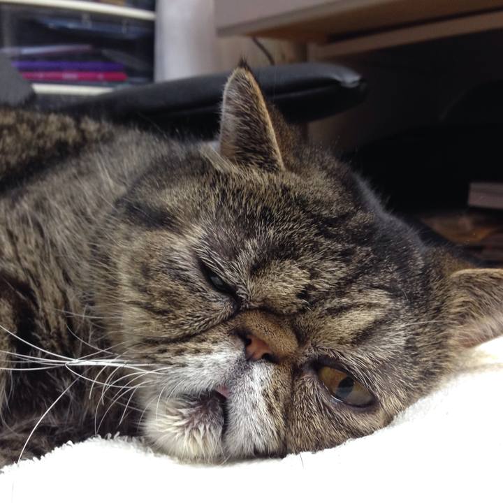 8bb964c0 7172 47fa add4 385d066f38d8