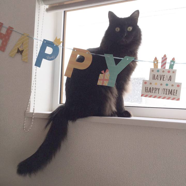 8bb968d1 bd25 4b14 8442 b226c64b26d1