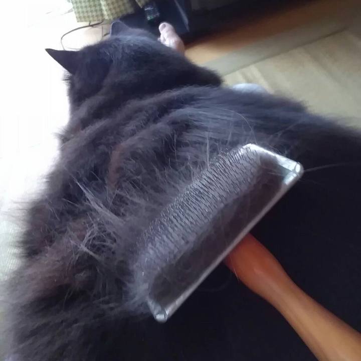 8bb9b87f 7841 46d6 9375 bb09452df905