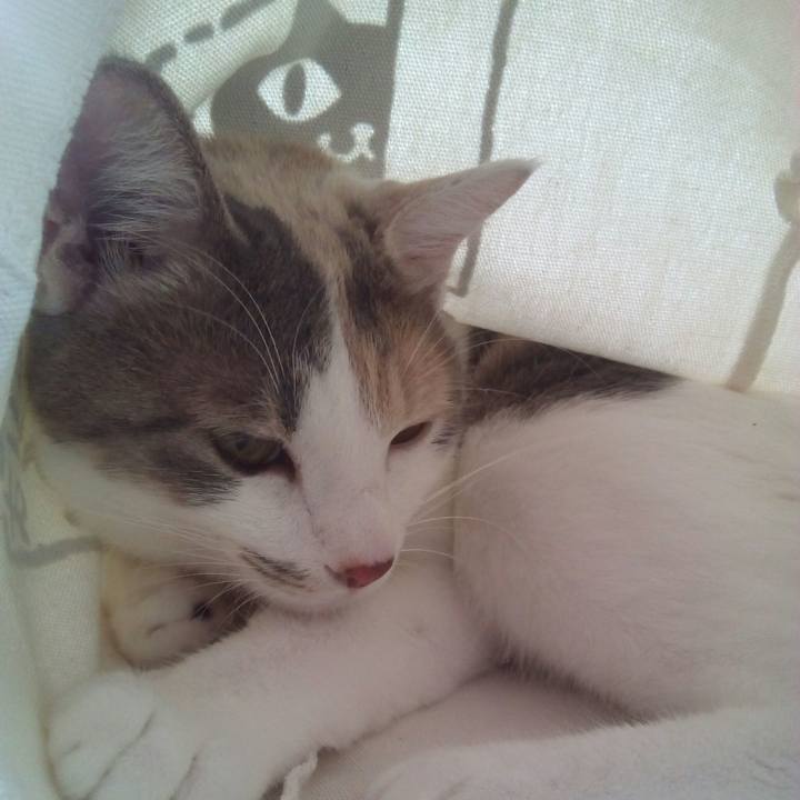 8bb9dfae edd5 40fb b2b7 e832eda7cd74