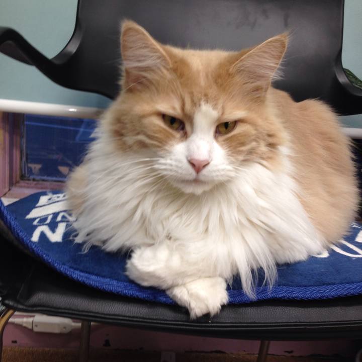 8bba00cd 26fb 4e4c a1c2 f564449fe3ed