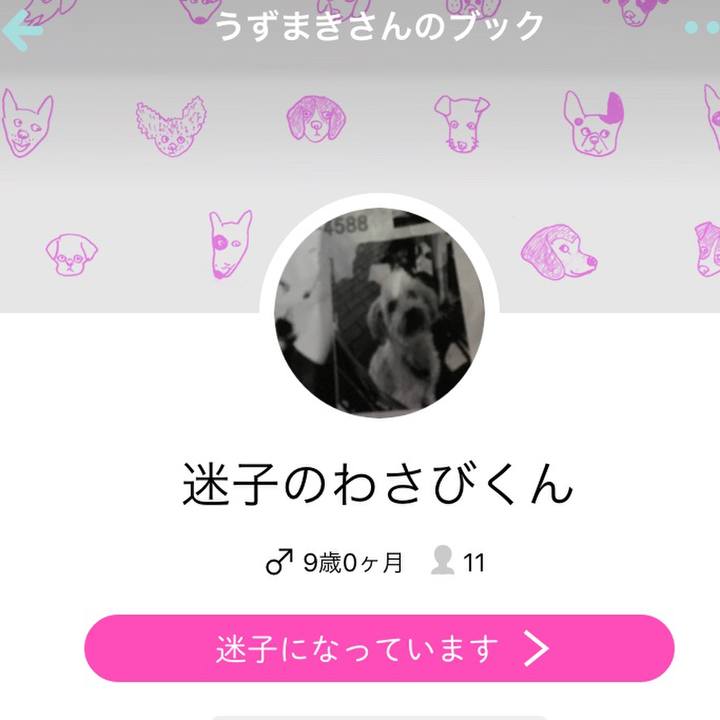 8bba6f82 4fa5 47b7 b217 9295c4dce3ea