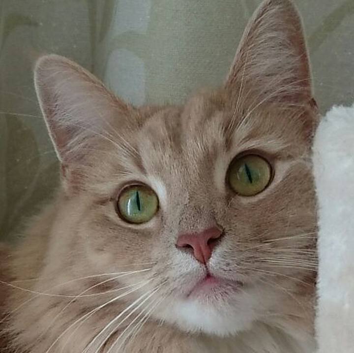 8bba6fda 0f7f 42df ae4a bc68c79e503c