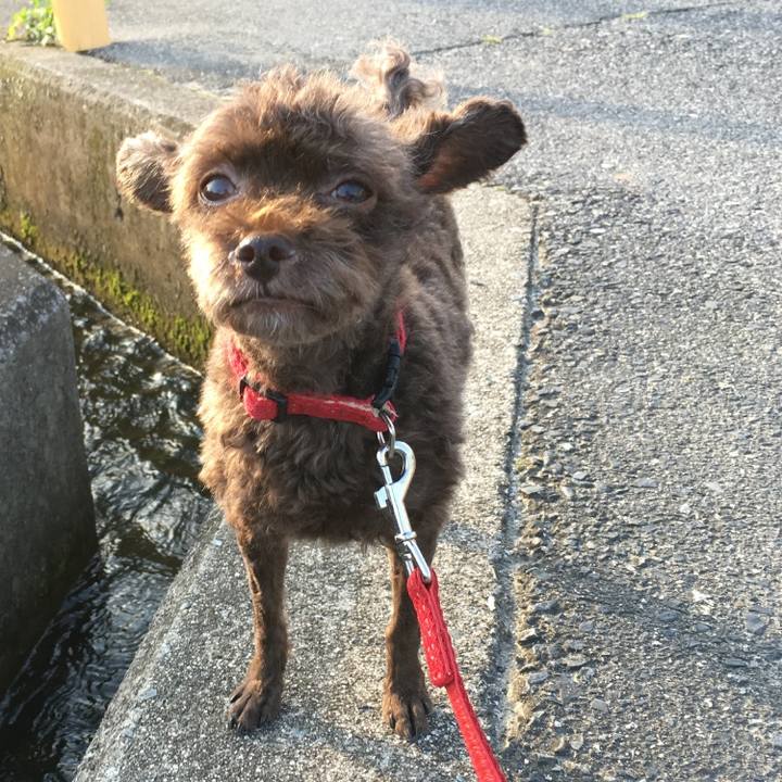 8bba72fd 124c 40b3 b6af 3cb09cae6a67