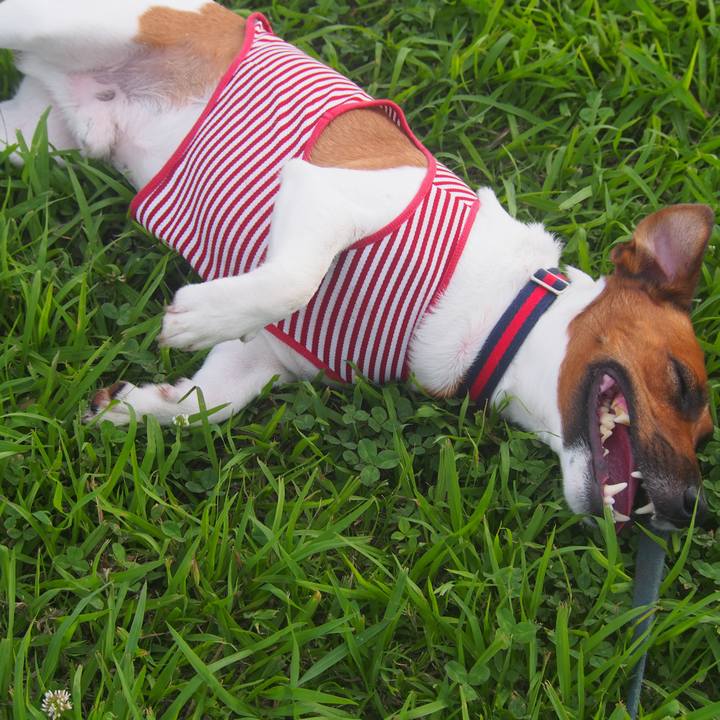 8bba97e7 ad28 4925 8dc3 c1c97c3afd70