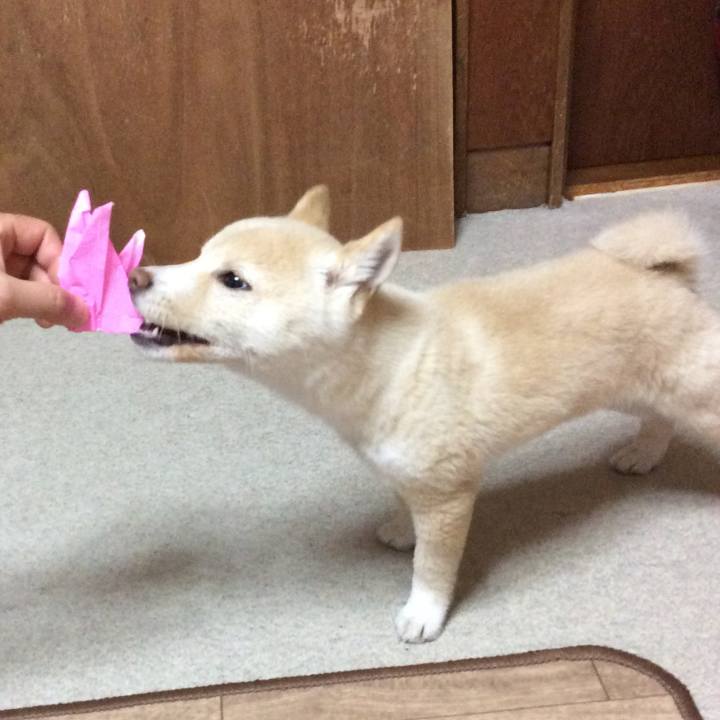 8bbb1f2f e955 40b9 baf9 5fb9a97eccdb