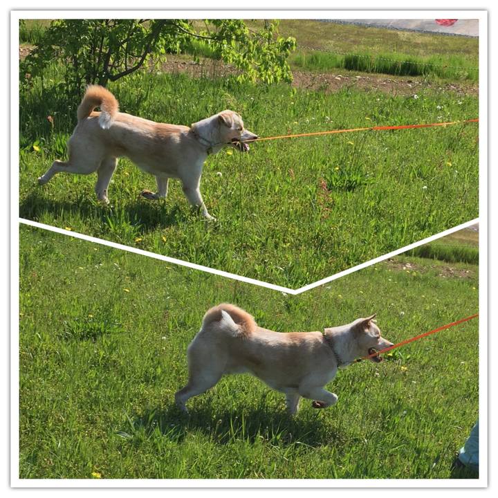 8bbb2f61 cf8c 4095 9bd1 14eb2edf030d