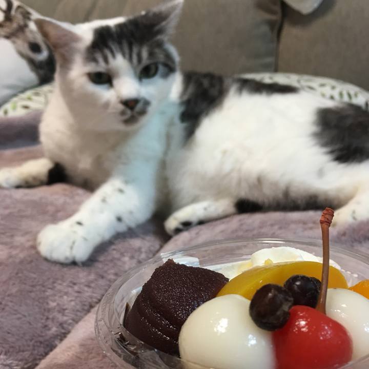 8bbb9516 030a 4d43 a7f3 2b7bfba83dc4