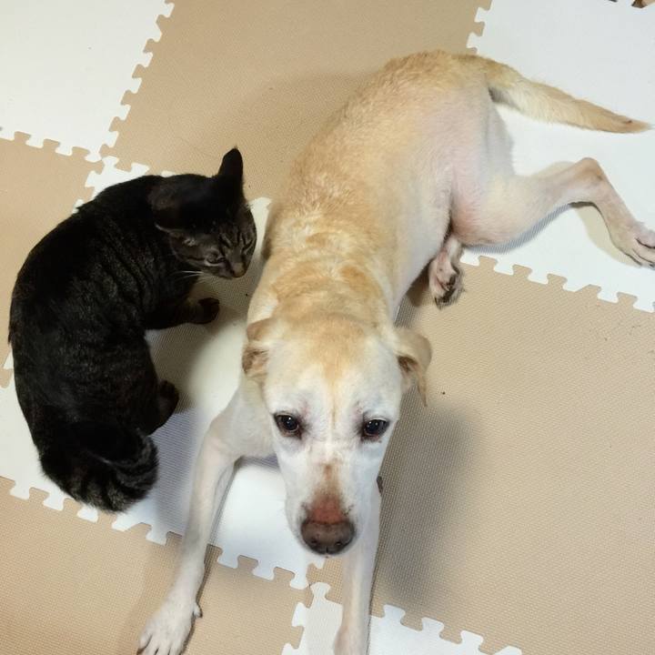 8bbc4f2b d52b 40c9 931b 1be6dbc26317