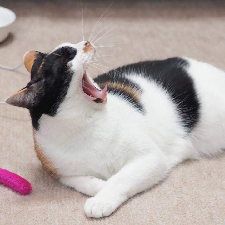 8bbc6450 13f9 41b7 a2b1 4ab49f107a82