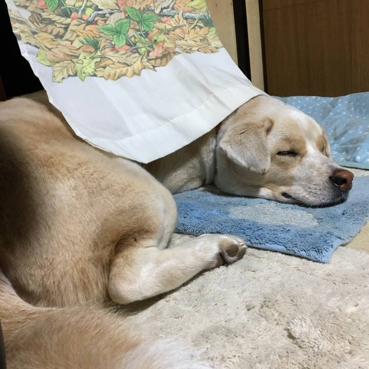 8bbcb749 3d88 4dda bf15 2dfd883d4527