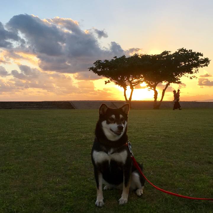 8bbccdd2 7774 487c 9a96 8493012234fe