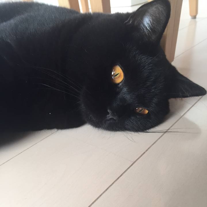 8bbcdf24 de9e 4fdd 9d36 4008d2bc0475