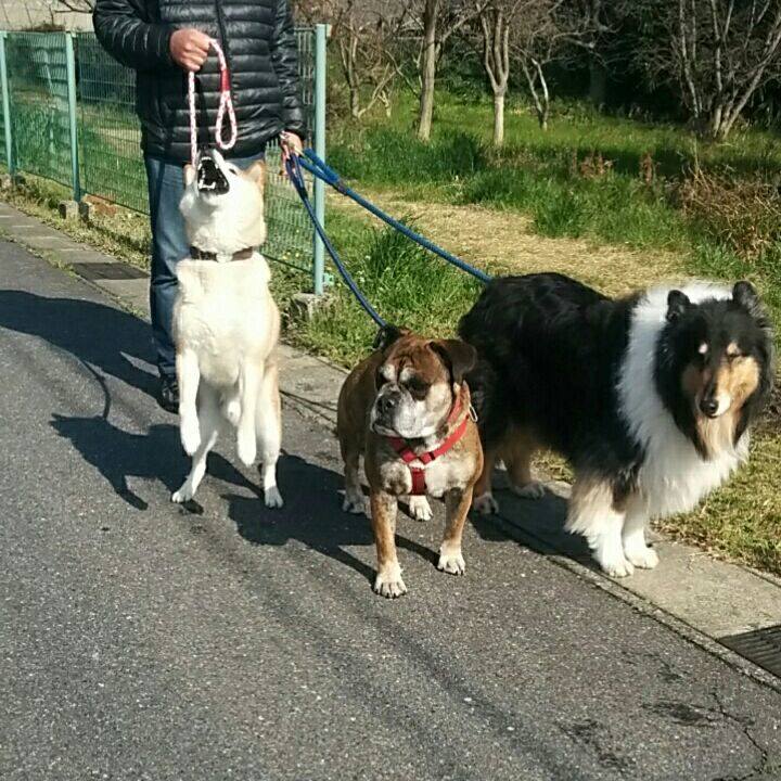 8bbd60f6 e142 4e2f b979 752649e37400