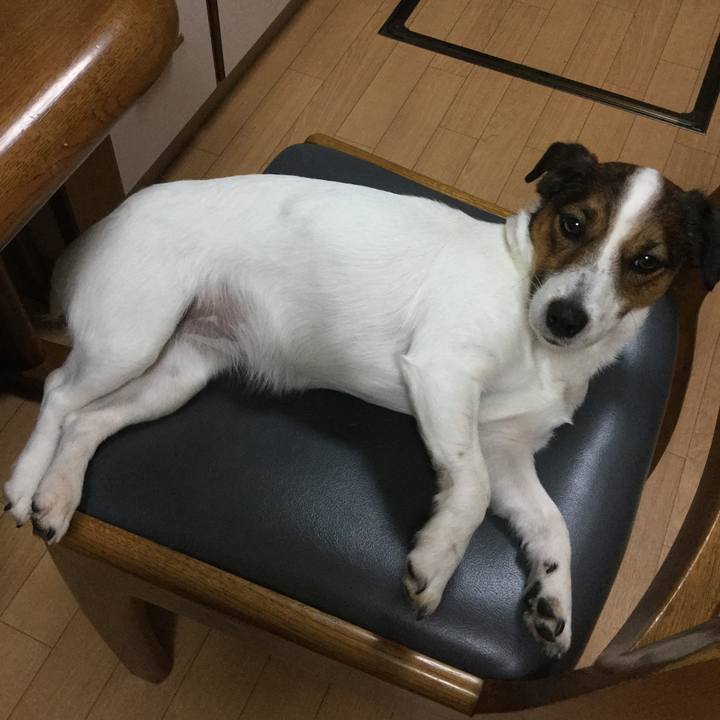 8bbde3d8 98e3 4801 a95b 7496e27313a8