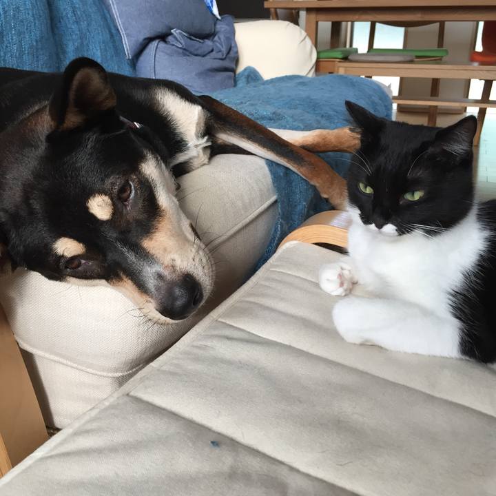 8bbe310f eb2f 4e5a bbac ffc63ba707d7