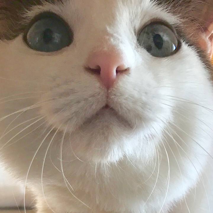 8bbef7f4 b435 4ac8 86d1 8533ec4b13d7