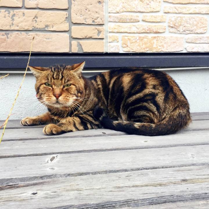 8bbf65c8 7a54 4632 b469 791f14063639