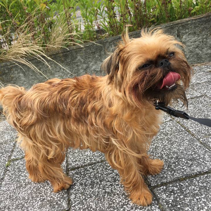 8bbf993b 313f 47e7 972d d36502314de4