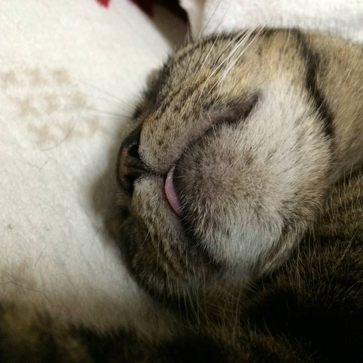 8bc03dbe d946 4192 aa3f 1c77ff3d68e1