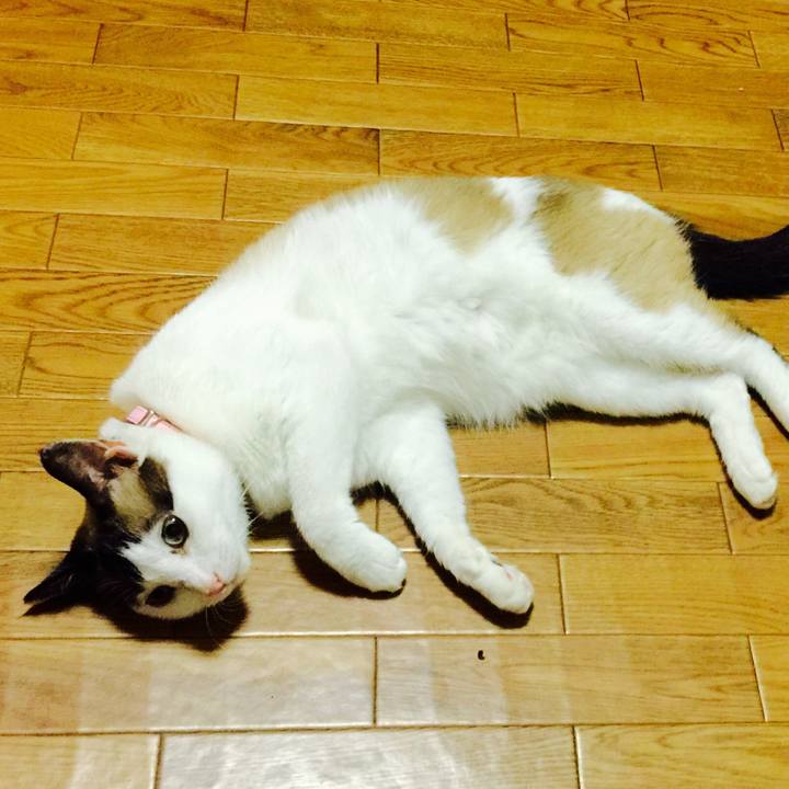 8bc18974 bc03 4391 b736 fc9a40e23f9c