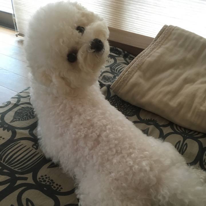 8bc1b724 f5ed 49a1 a101 c550c4b1b561