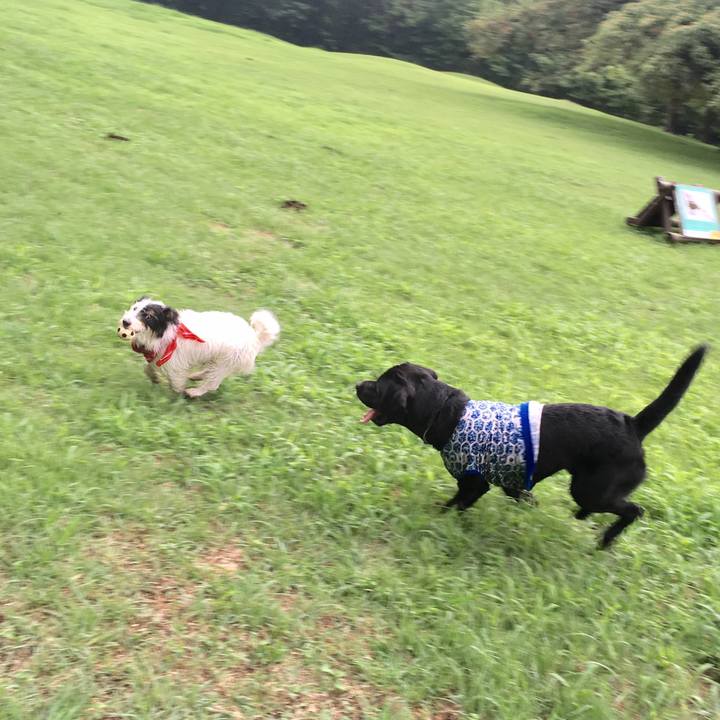 8bc26131 6805 404f ae48 e43da2899252