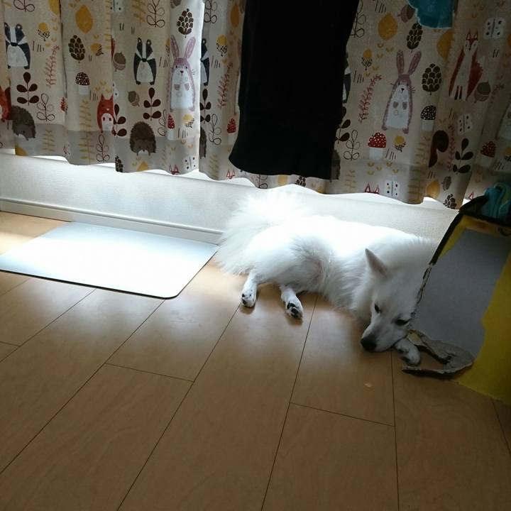 8bc2aed5 a05c 42b4 a156 fd7d8e25ceed