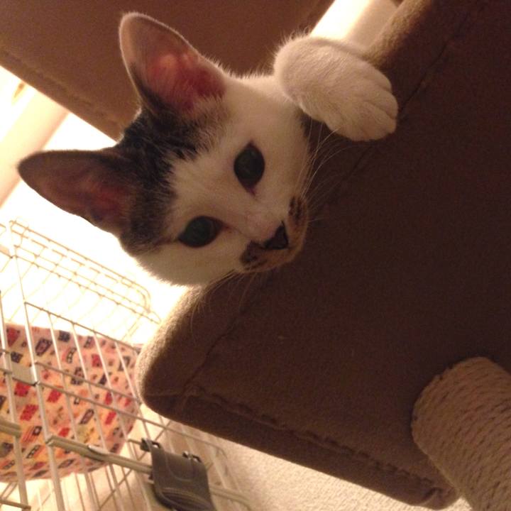 8bc36f4b 919a 4eae bef1 3eb2071a82a7