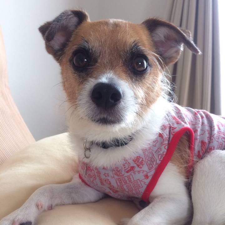 8bc3db86 8a56 455e beac 4b583dd79452