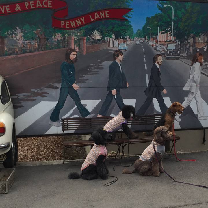 8bc421d3 1659 4d05 aac9 0b759f2a69f6