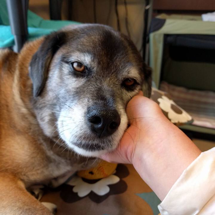 8bc44a04 04f6 4139 bf6c 5a346f995b47