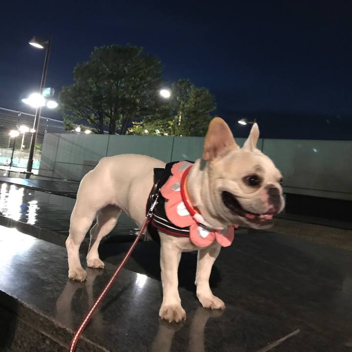 8bc44f79 d4b2 4525 851b 28510344c8a7