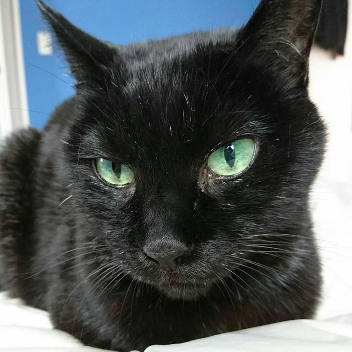 8bc4c6e0 e3df 4424 837f 0c007460d0f7